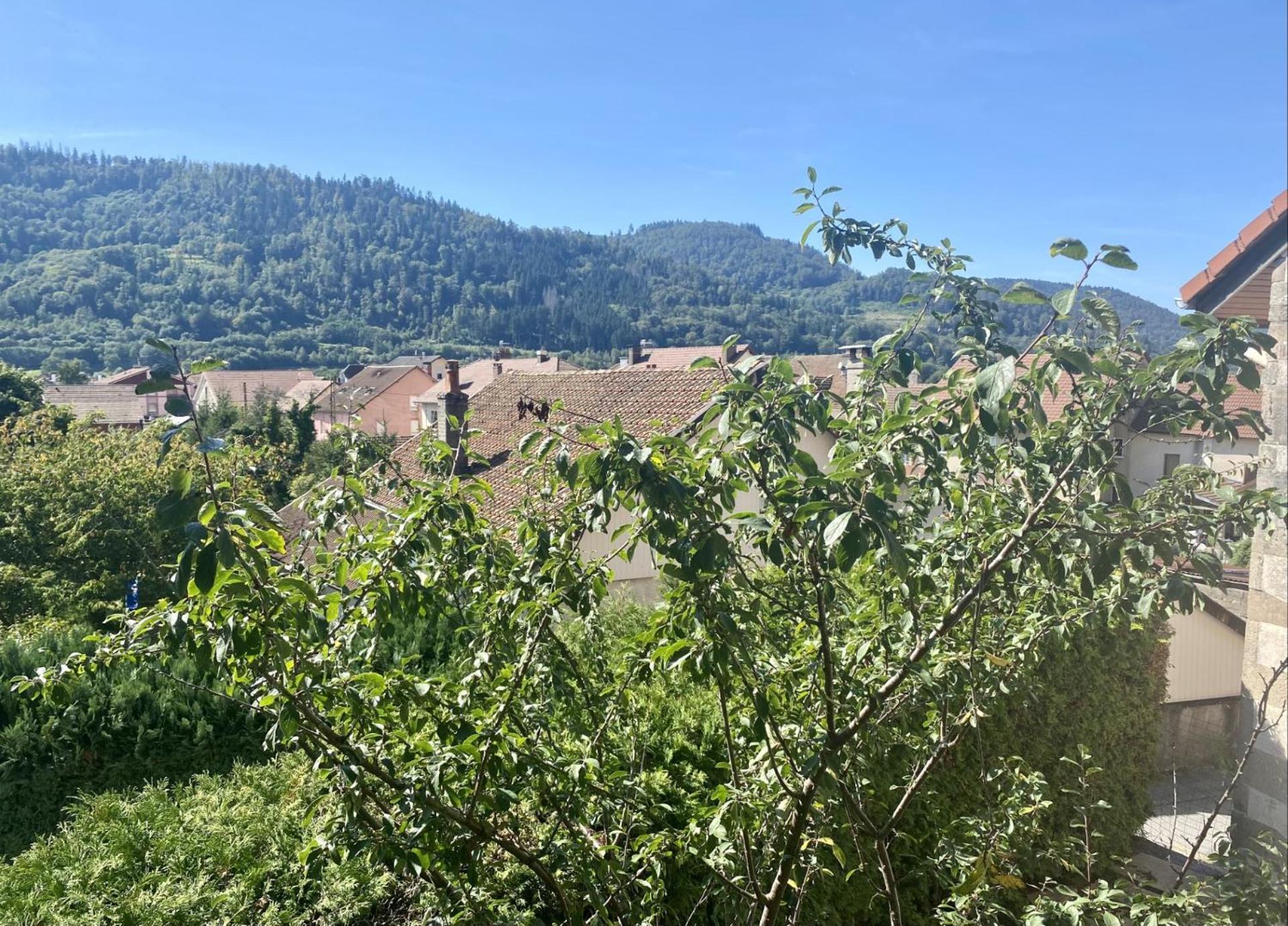 Le Ptit Rupt-sur-Moselle
